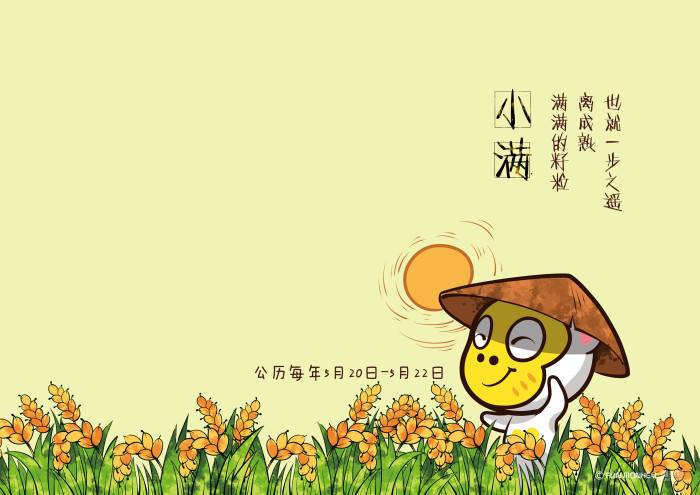 小满.jpg
